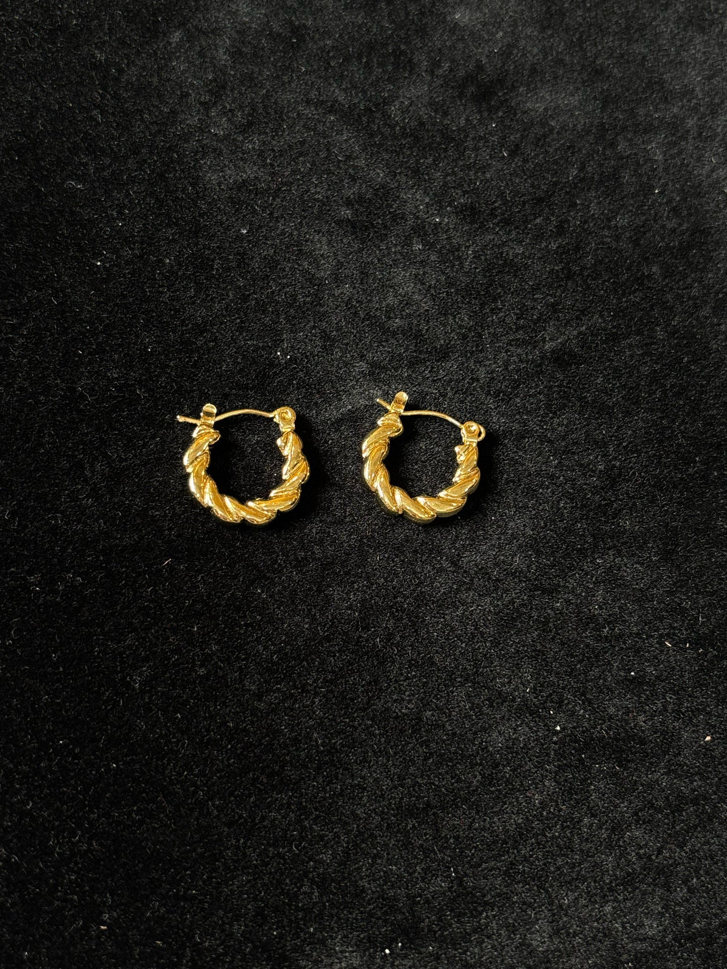 Curve Loop Earring